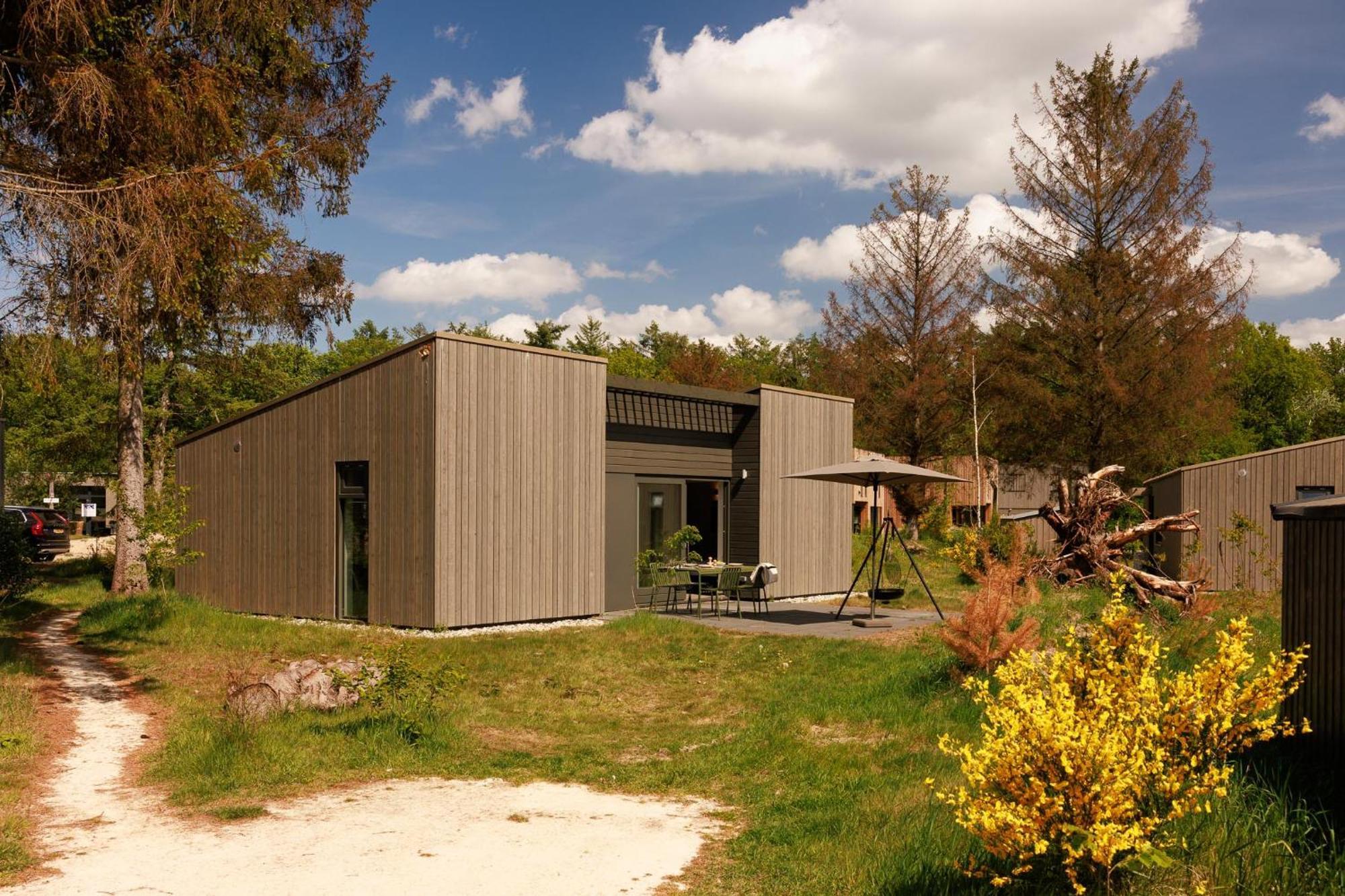 Dutchen Zeegser Duinen Suitelodges Dış mekan fotoğraf